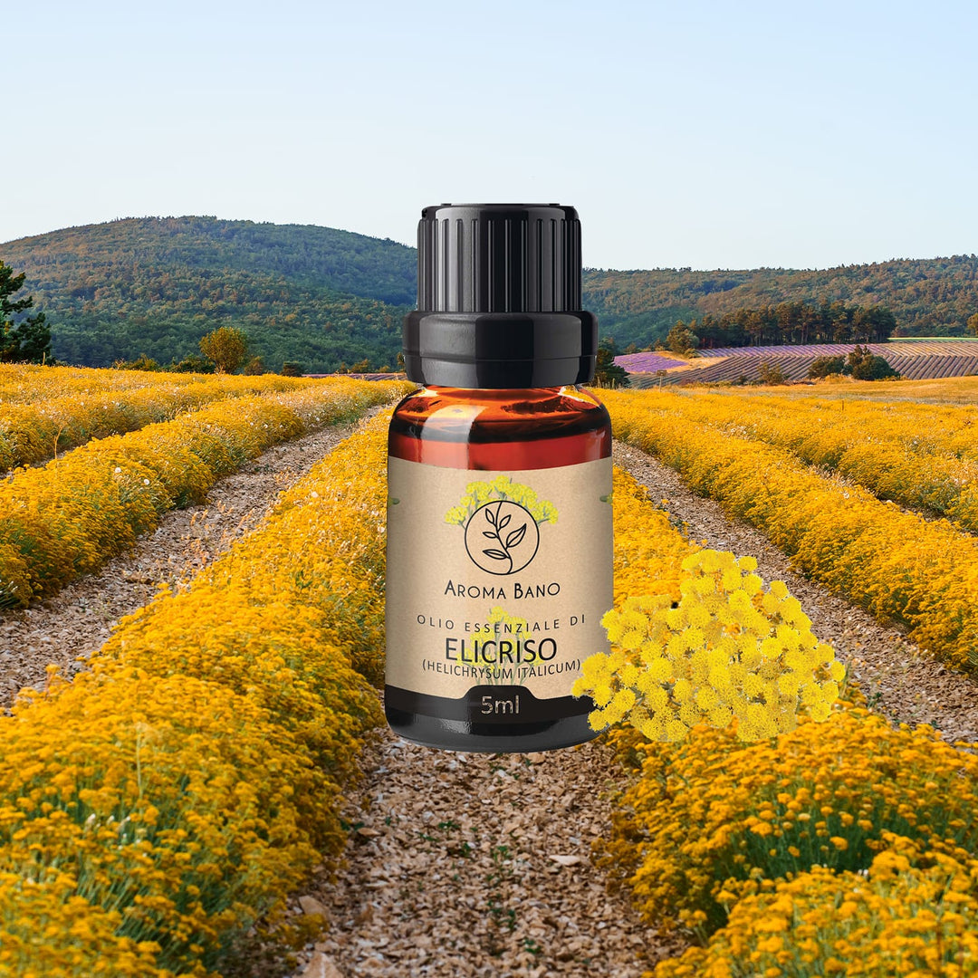 Bottiglia da 5 ml di olio essenziale di Elicriso Aroma Bano posizionata in un campo di piante di elicriso in fiore