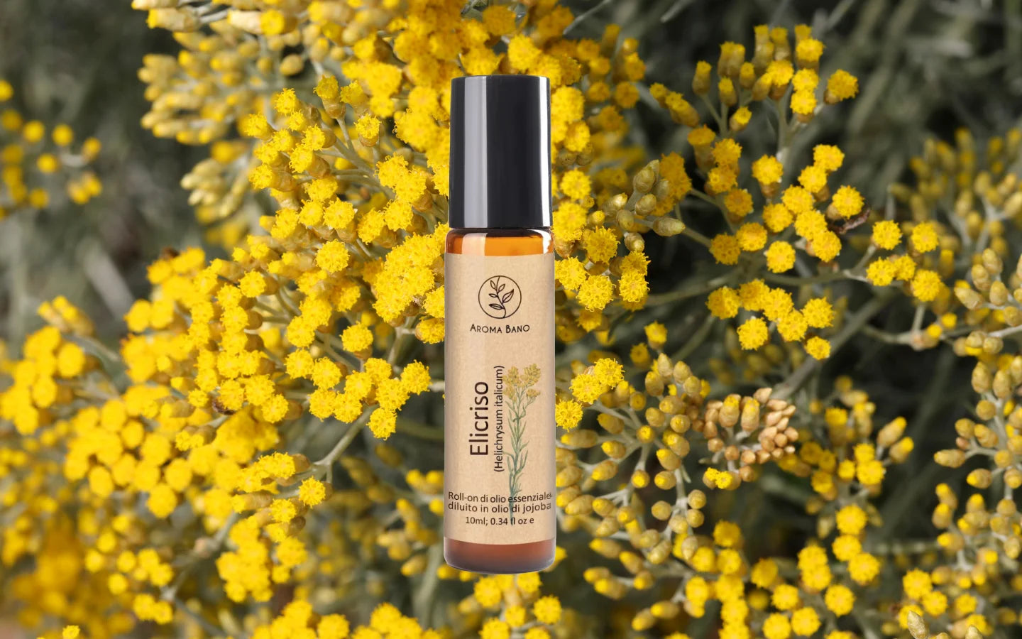 Roll-on olio essenziale di Elicriso diluito in olio di jojoba con fiori di Helichrysum italicum