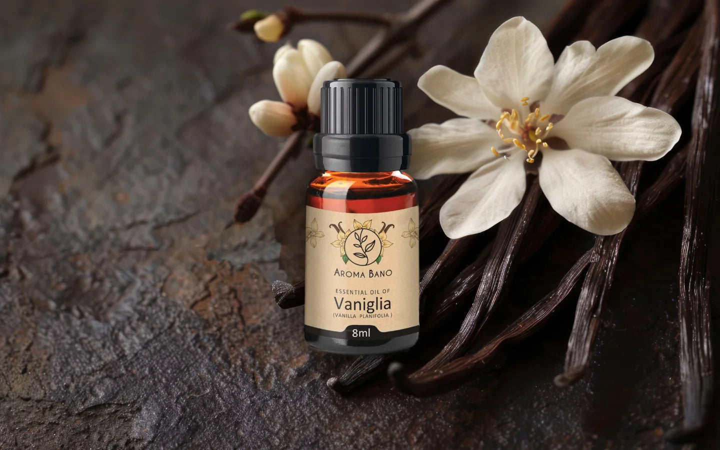 Olio essenziale di Vaniglia con baccelli e fiori di vaniglia