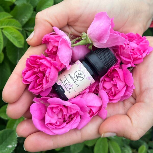 olio essenziale rosa damascena